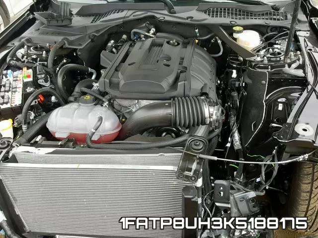 1FATP8UH3K5188175 фото 8