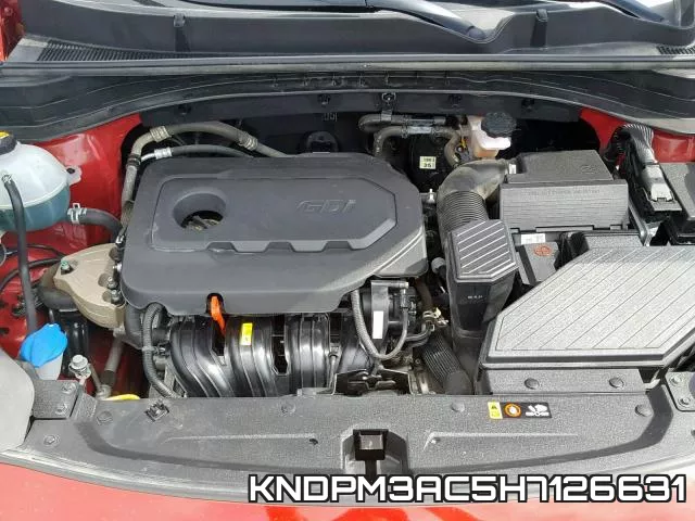 KNDPM3AC5H7126631 фото 8