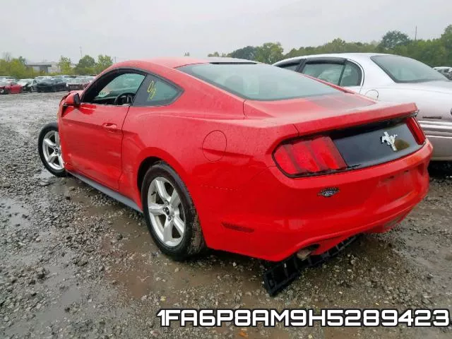 1FA6P8AM9H5289423 фото 4