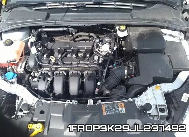 1FADP3K29JL237492 фото 2