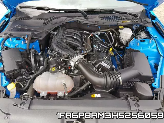 1FA6P8AM3H5256059 фото 8