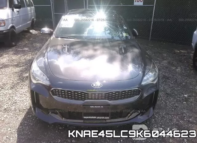 KNAE45LC9K6044623 фото 7