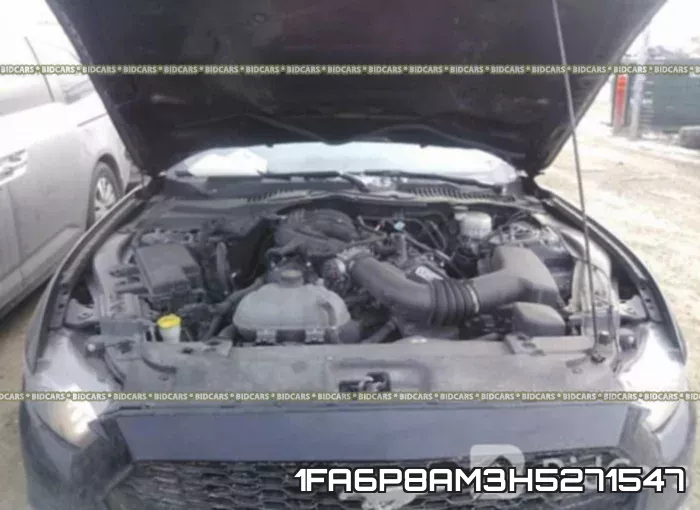 1FA6P8AM3H5271547 фото 2