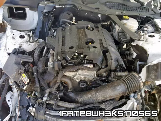 1FATP8UH3K5170565 фото 8