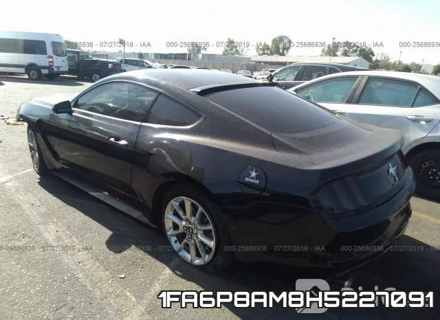 1FA6P8AM8H5227091 фото 4