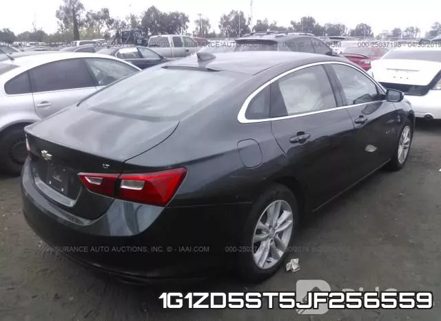 1G1ZD5ST5JF256559 фото 5