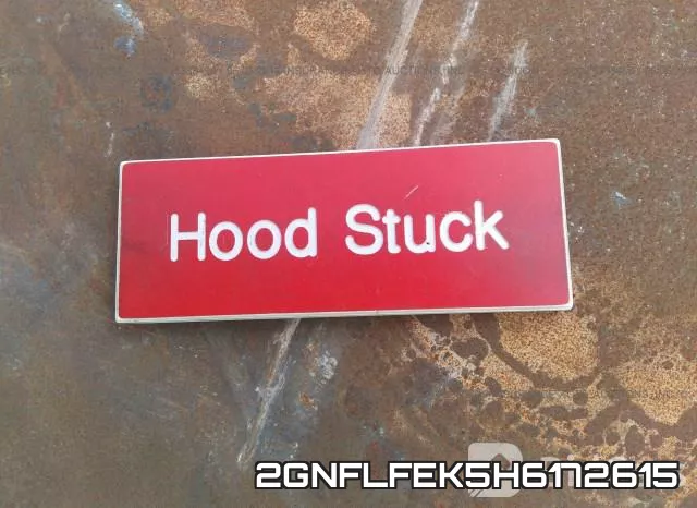 2GNFLFEK5H6172615 фото 2