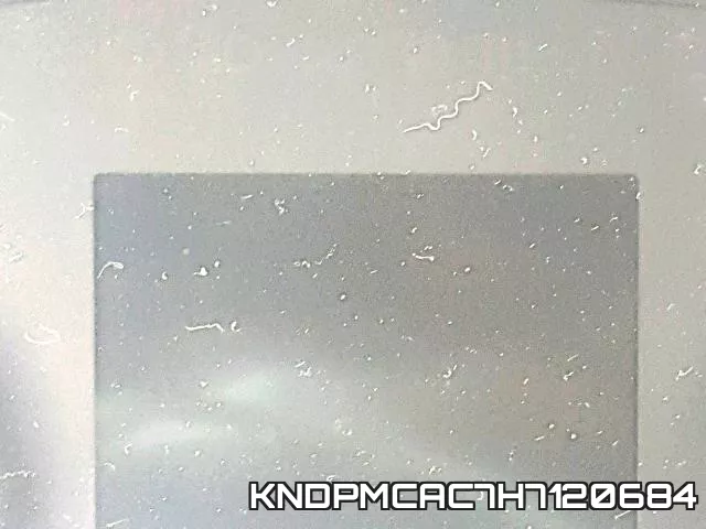 KNDPMCAC7H7120684 фото 9