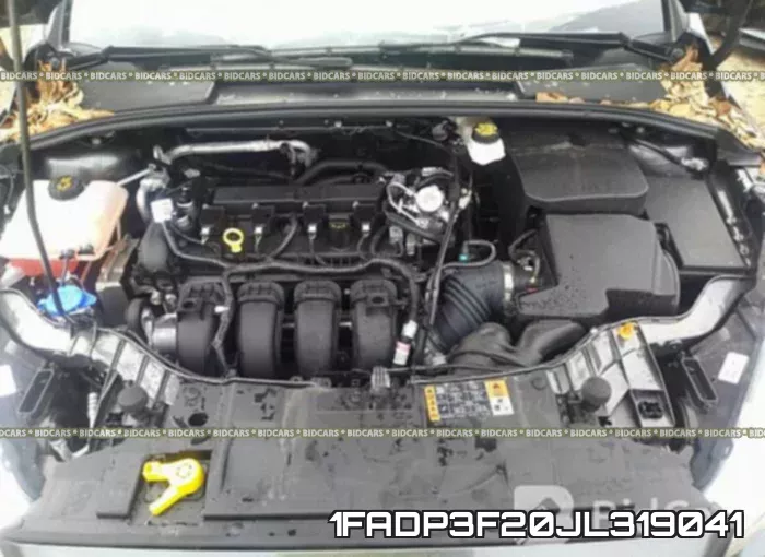 1FADP3F20JL319041 фото 2