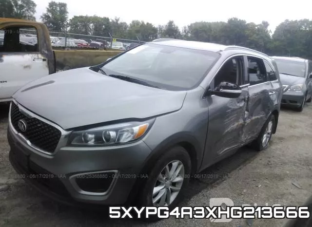 5XYPG4A3XHG213666 фото 3