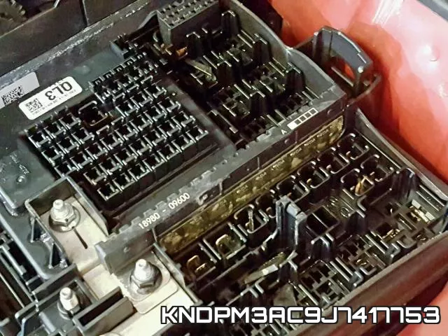 KNDPM3AC9J7417753 фото 10