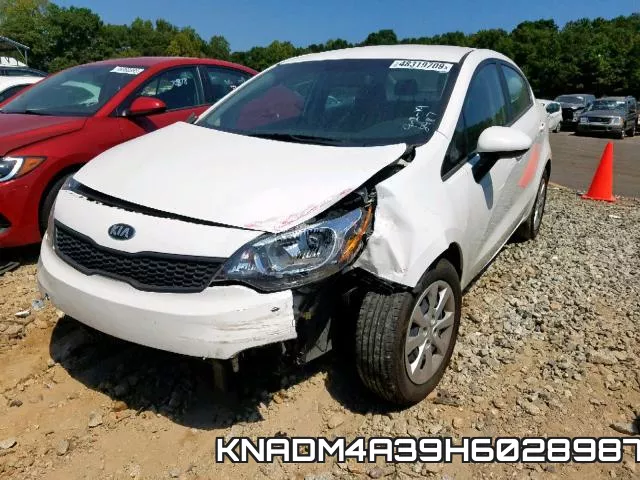 KNADM4A39H6028987 фото 3