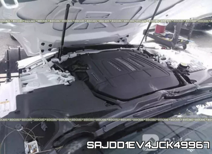 SAJDD1EV4JCK49967 фото 2