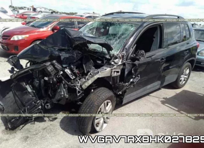 WVGAV7AX8HK027825 фото 3