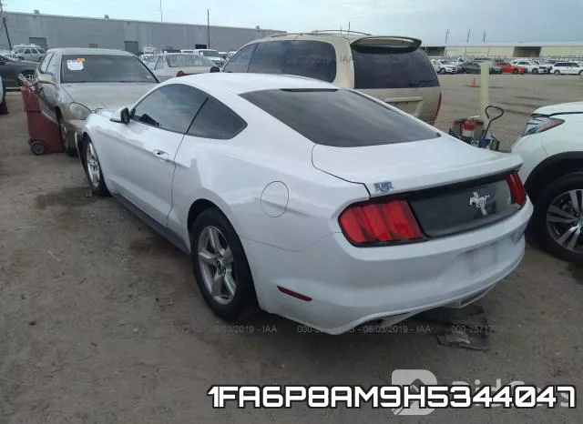 1FA6P8AM9H5344047 фото 4