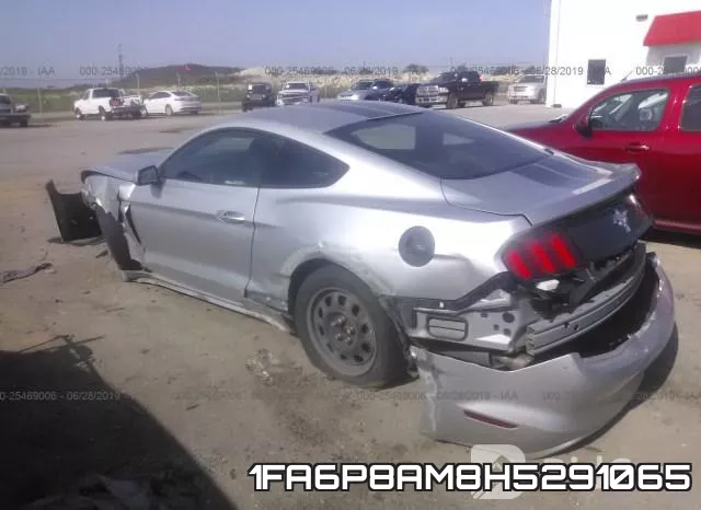 1FA6P8AM8H5291065 фото 4
