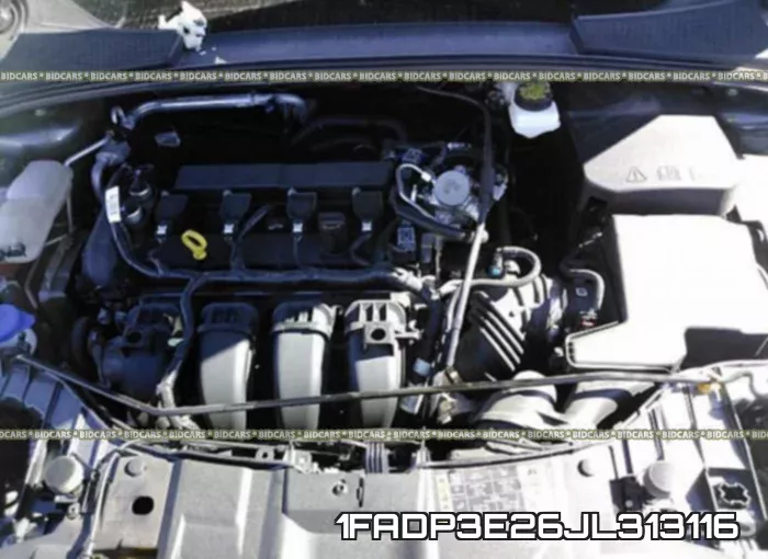 1FADP3E26JL313116 фото 2