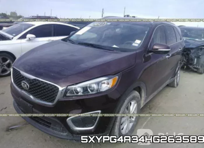 5XYPG4A34HG263589 фото 3