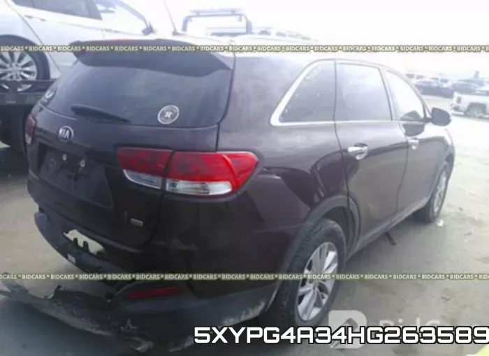 5XYPG4A34HG263589 фото 5