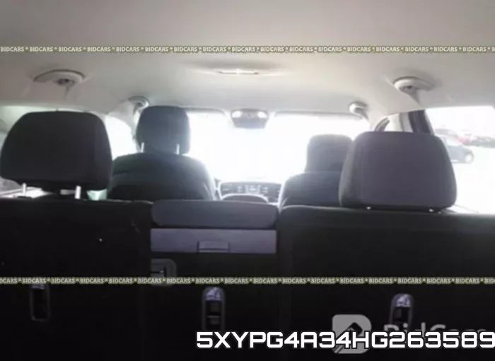 5XYPG4A34HG263589 фото 9