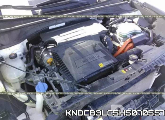 KNDCB3LC5H5070557 фото 2