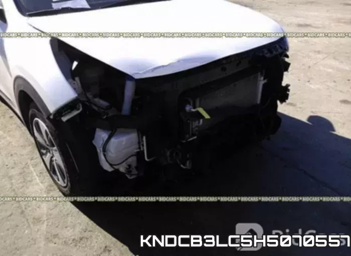 KNDCB3LC5H5070557 фото 7