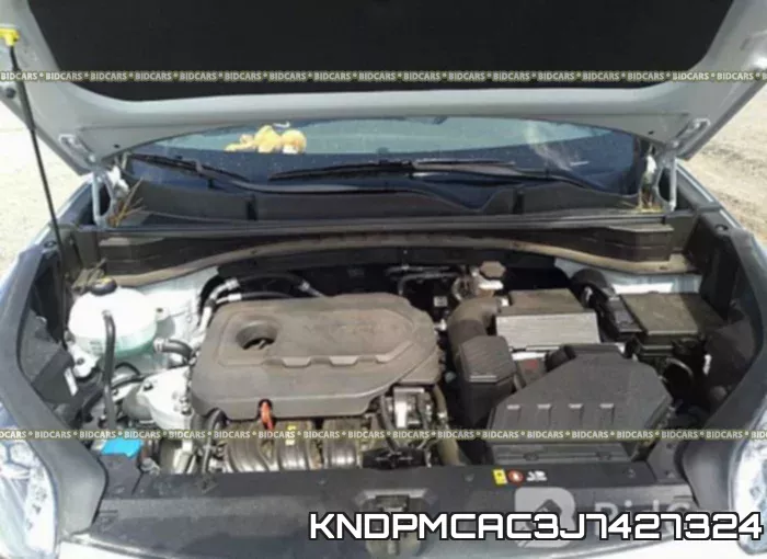 KNDPMCAC3J7427324 фото 2