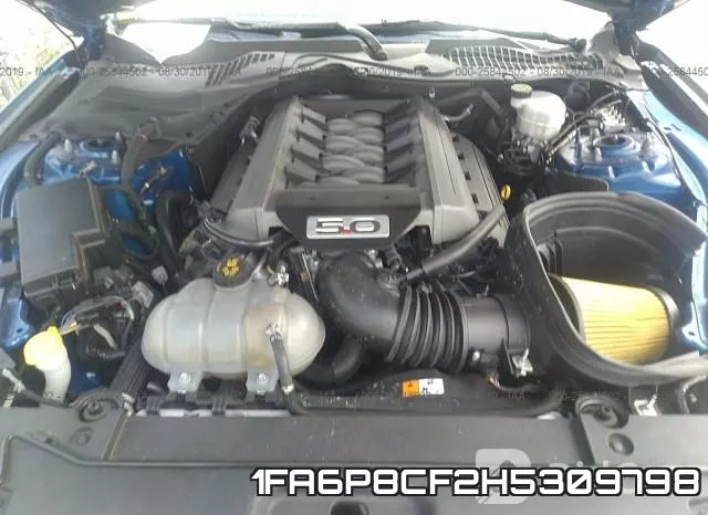 1FA6P8CF2H5309798 фото 2