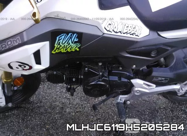 MLHJC6119H5205284 фото 10