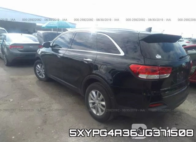 5XYPG4A36JG371508 фото 4