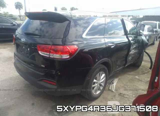 5XYPG4A36JG371508 фото 5