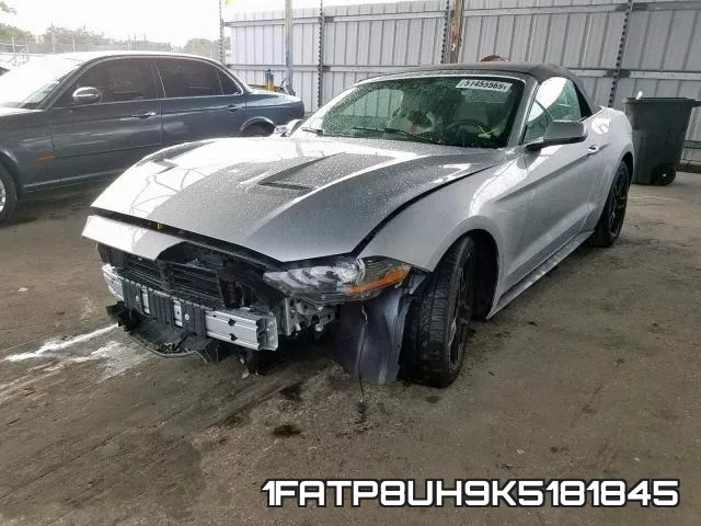 1FATP8UH9K5181845 фото 3