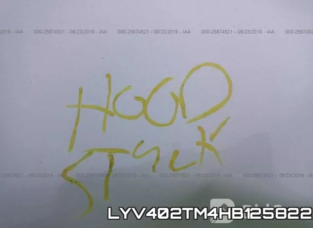 LYV402TM4HB125822 фото 2