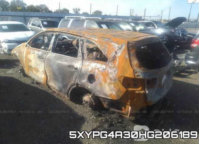 5XYPG4A30HG206189 фото 3