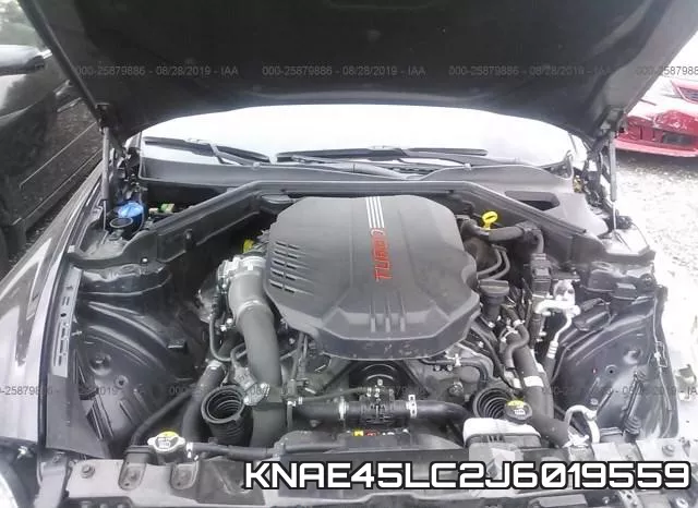 KNAE45LC2J6019559 фото 2