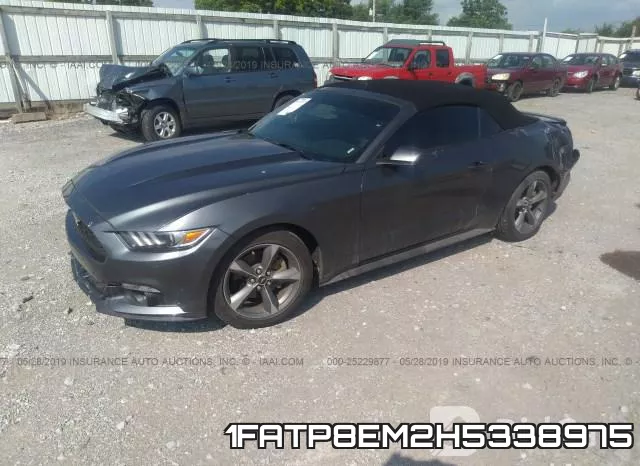 1FATP8EM2H5338975 фото 3
