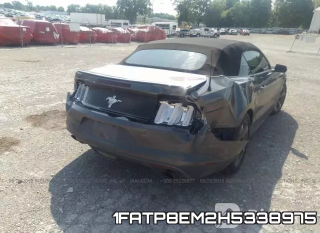 1FATP8EM2H5338975 фото 7