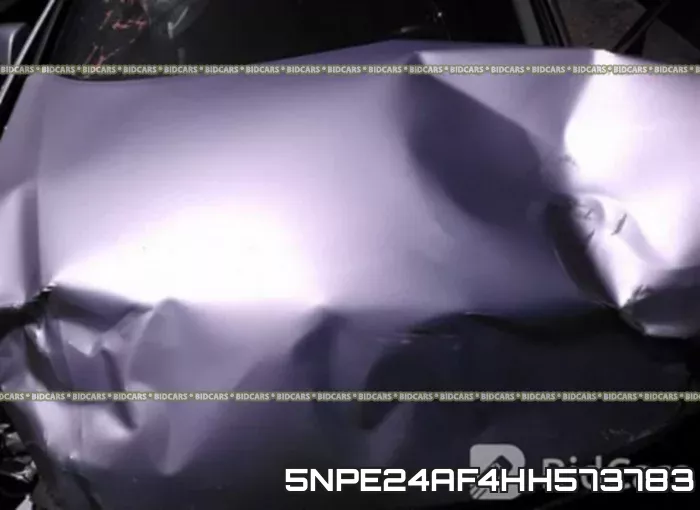 5NPE24AF4HH573783 фото 2