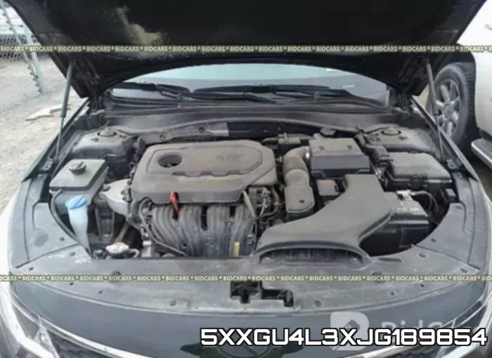 5XXGU4L3XJG189854 фото 2