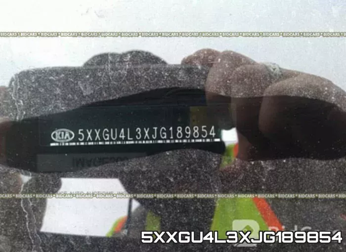 5XXGU4L3XJG189854 фото 10