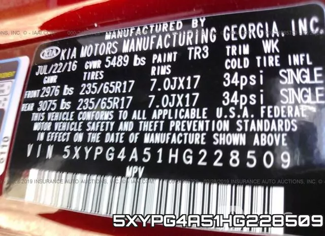 5XYPG4A51HG228509 фото 10