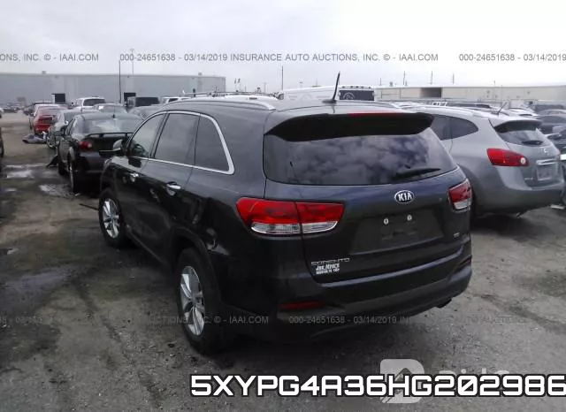 5XYPG4A36HG202986 фото 3