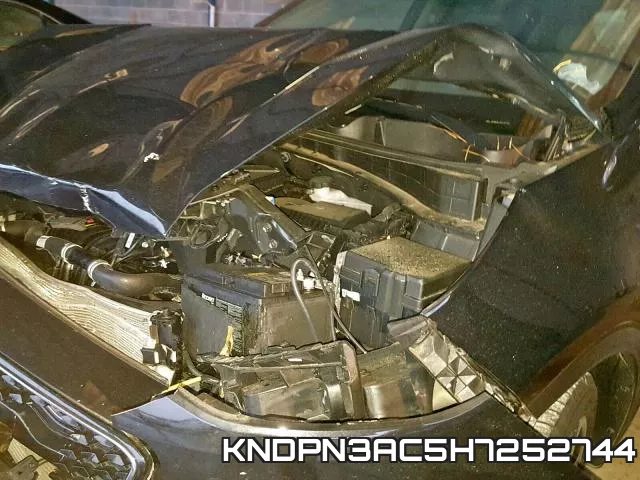 KNDPN3AC5H7252744 фото 9