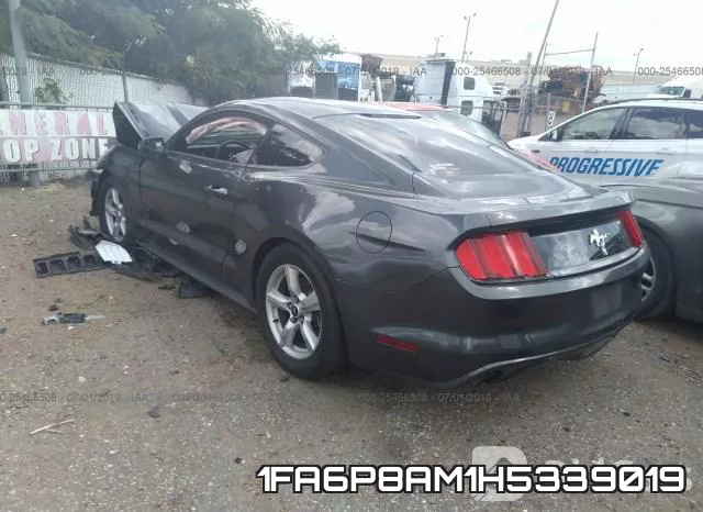 1FA6P8AM1H5339019 фото 4