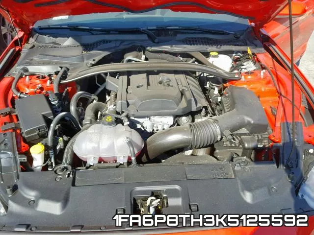 1FA6P8TH3K5125592 фото 7