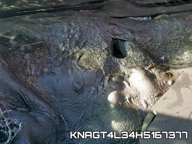 KNAGT4L34H5167377 фото 9
