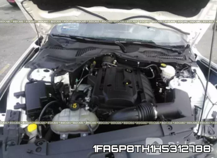 1FA6P8TH1H5312788 фото 2