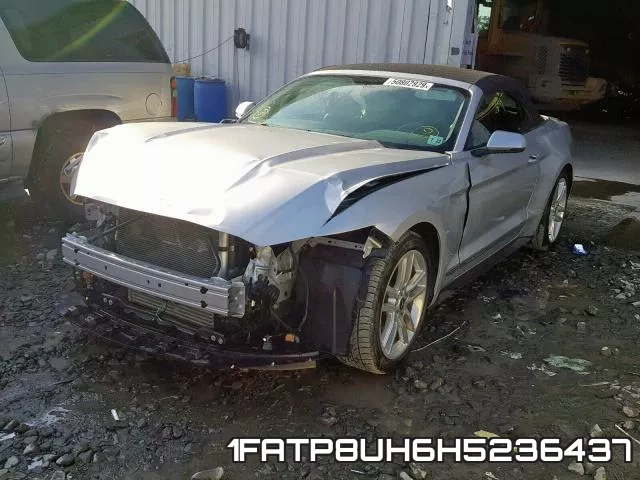 1FATP8UH6H5236437 фото 3