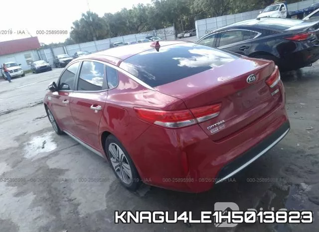 KNAGU4LE1H5013823 фото 4