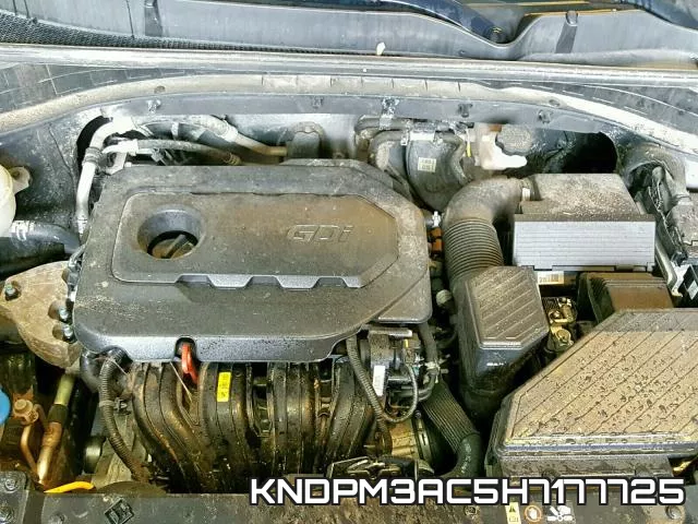 KNDPM3AC5H7177725 фото 8